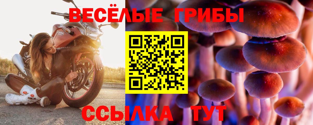 Галлюциногенные грибы Magic Shrooms Верхний Уфалей